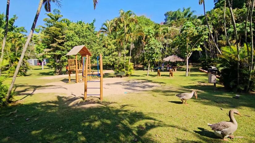 Com o tempo, o morango se tornou símbolo da identidade e da cultura de Atibaia, fortalecendo a agricultura familiar e os eventos locais