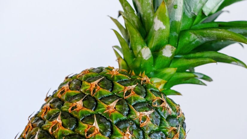 A coroa do abacaxi pode ser replantada e gerar uma nova fruta / Pixabay