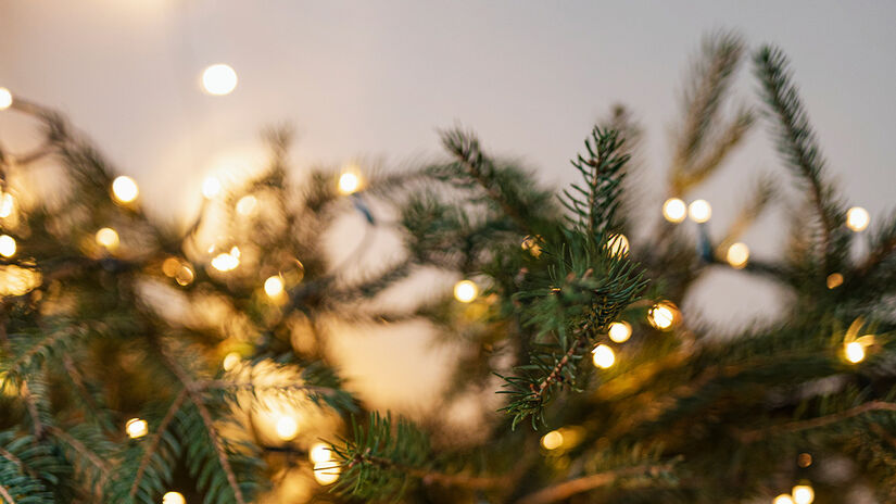 Freepik