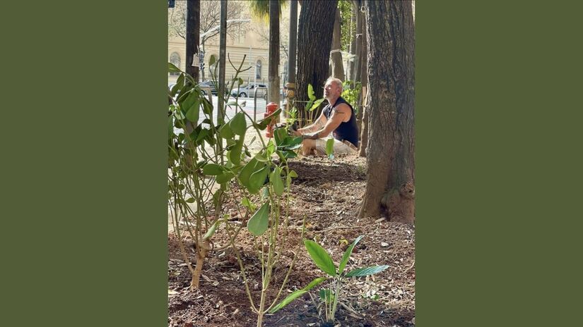 Em meio às árvores, Paziam cuida dos canteiros que ajudam a devolver vida e cor às ruas do centro da capital paulista/ Reprodução Instagram/@projetopazipe