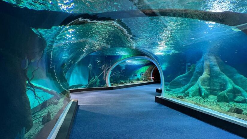 O Bioparque Pantanal, localizado em Campo Grande (MS), é reconhecido internacionalmente por sua arquitetura inovadora e compromisso com a preservação ambiental / Bioparque Pantanal/Divulgação