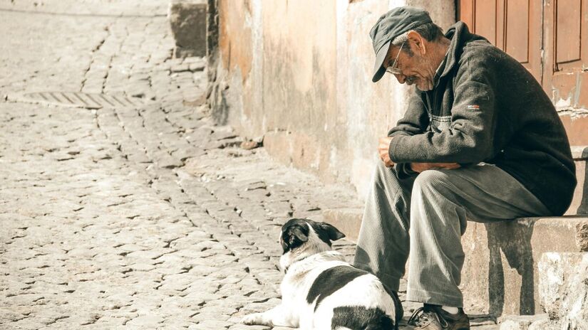 Cães adultos dormem até 14 horas por dia, enquanto filhotes dormem até 19 horas/Pexels