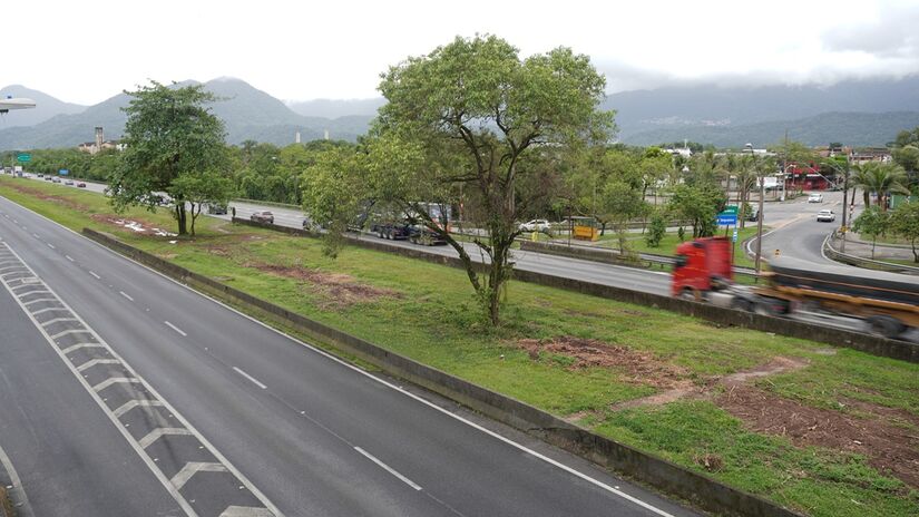 Algumas árvores foram mantidas no local (Renan Lousada/DL)