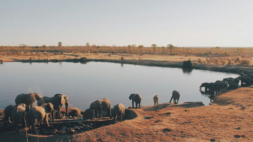 O Zimbábue é conhecido por sua rica herança cultural e paisagens naturais impressionantes / Unplash