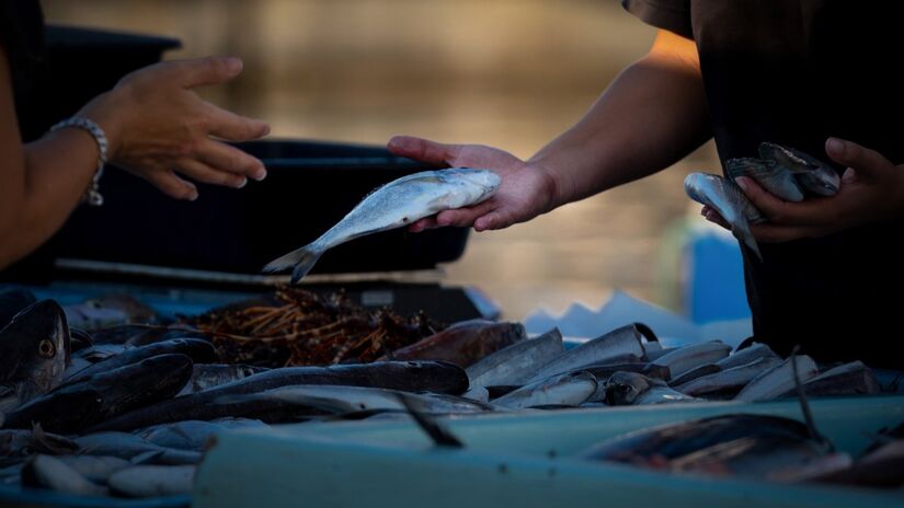 Consumir peixe regularmente ajuda na memória e na concentração, graças aos ácidos graxos essenciais / Pixabay