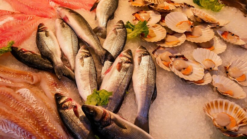 As proteínas do peixe são de alta qualidade e auxiliam na regeneração muscular e fortalecimento do corpo / Pixabay