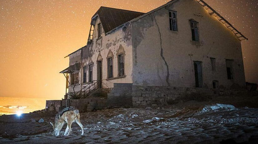Foto feita por Wim van den Heever