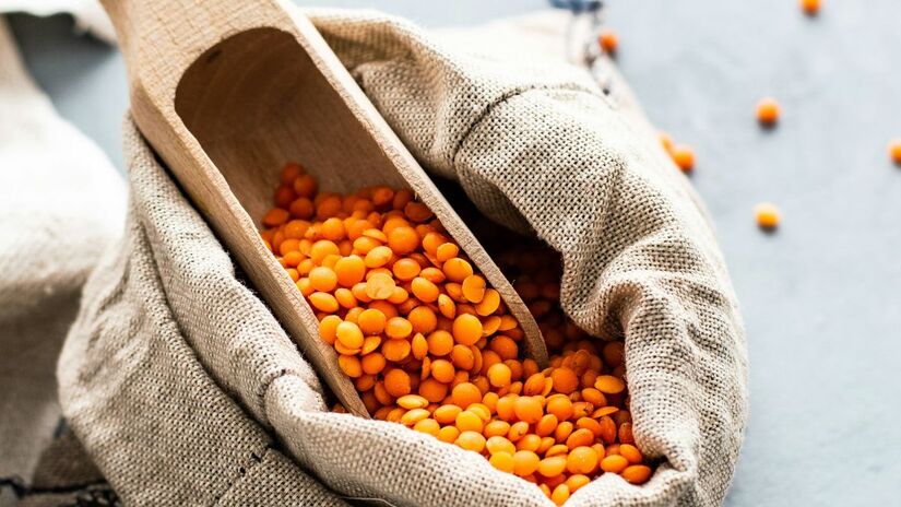 A lentilha é fonte rica de ferro e proteínas, sendo uma das principais substitutas da carne em dietas vegetarianas/Pexels