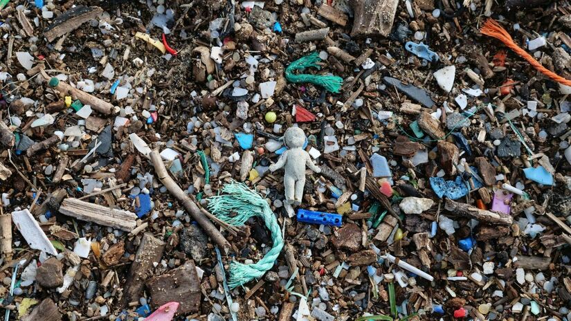 Confortáveis e baratos, itens como conchas e espátulas de plástico liberam partículas que chegam à corrente sanguínea/Pexels