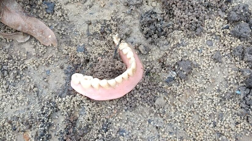 Até uma dentadura foi encontrada durante o mutirão / Divulgação/PMI