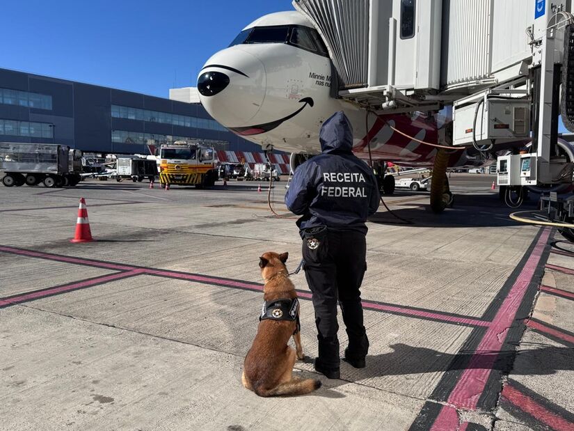 Produtos foram retidos por falta de comprovação de importação regular e indícios de destinação comercial (Divulgação/Receita Federal)