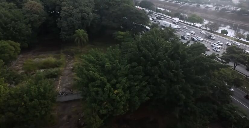 A lateral do parque na Marginal Tietê: mato onde haviam brinquedos - Crédito Youtube/Caçadores de Diversão