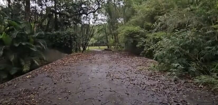 Corredores de acesso hoje viraram árvores, plantas e mato - Crédito Youtube/Caçadores de Diversão