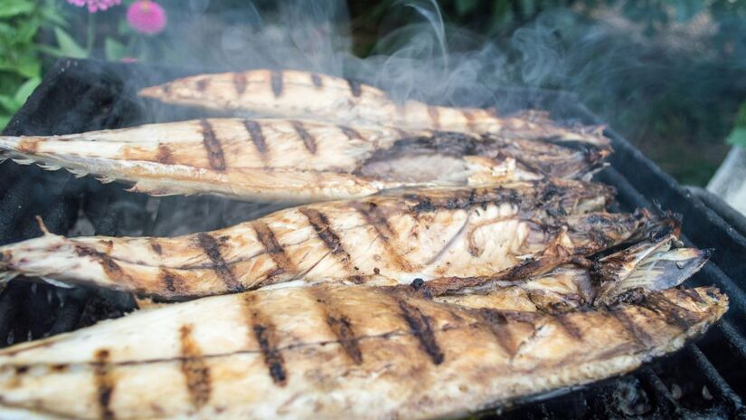 A cavala é fonte de proteínas de alto valor biológico, auxiliando na manutenção e desenvolvimento da massa muscular/Pexels