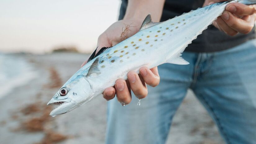 O peixe também oferece vitaminas do complexo B e minerais como selênio e fósforo, importantes para o metabolismo e o sistema nervoso/Pexels