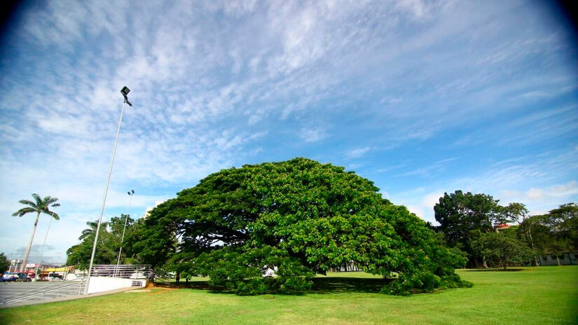 Divulgação/Prefeitura de São José dos Campos