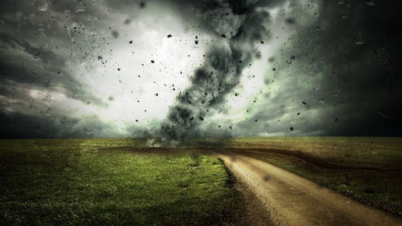 A perda acelerada de espécies ameaça o equilíbrio dos ecossistemas / Pixabay