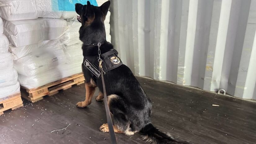 A ação contou com o apoio de cães farejadores / Divulgação/Receita Federal