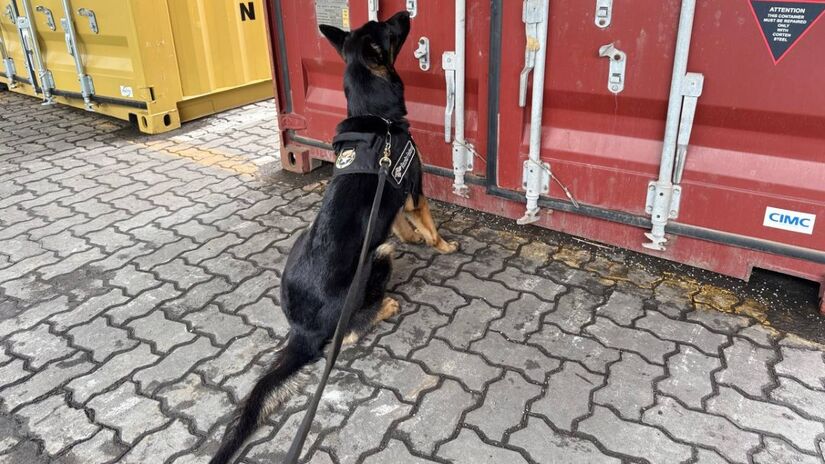 A ação contou com o apoio de cães farejadores / Divulgação/Receita Federal