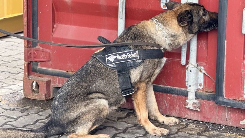 A ação contou com o apoio de cães farejadores / Divulgação/Receita Federal