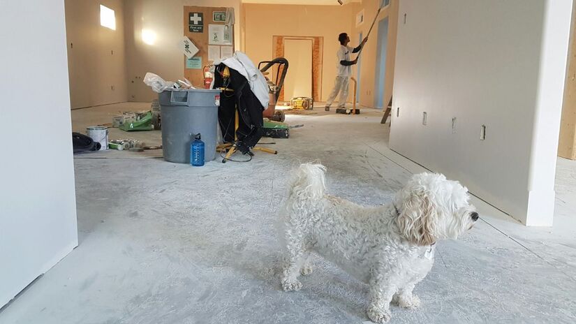 O valor da parcela será limitado a 25% da renda familiar e cada família pode ter apenas uma operação ativa por vez/Pexels