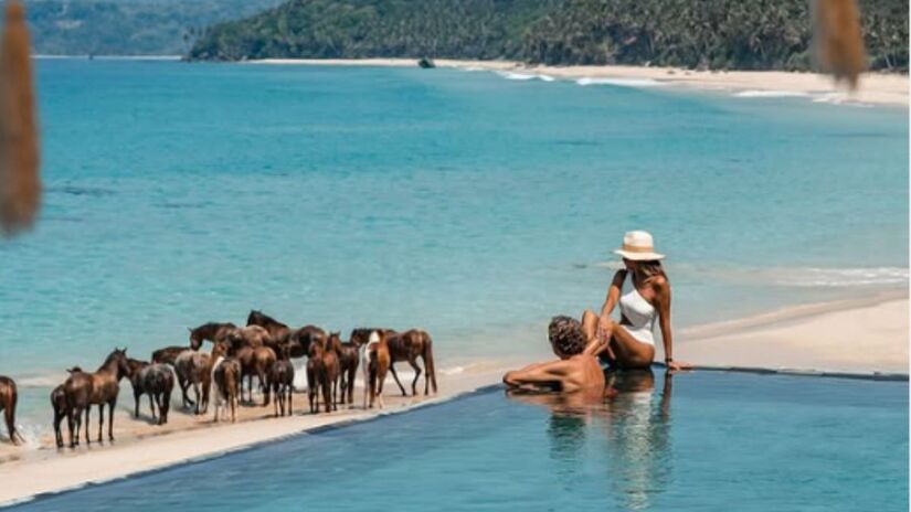 Em uma ilha remota, cavalos selvagens correm pela praia e participam de experiências únicas com os hóspedes/ Reprodução Instagram/@nihi