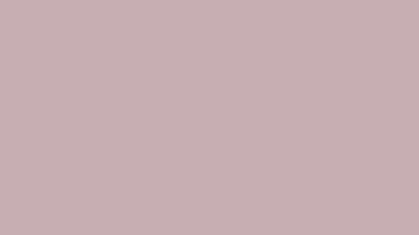 BURNISHED LILAC | 15-1905 /Pantone
