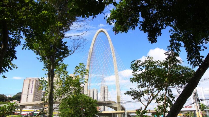 Certificação internacional do patrimônio arbóreo reforça a gestão ambiental da cidade/ Divulgação/PMSJC