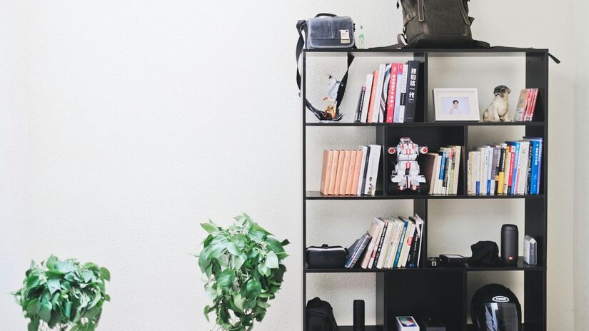 Mofo surge em ambientes úmidos e mal ventilados, representando risco para a saúde e estruturas / Pexels