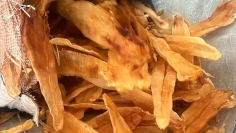 Por lá, a textura e o sabor estão entre as principais características da bexiga natatória do peixe (Receita Federal/Divulgação)