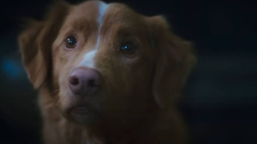 Neste cenário confuso e aterrorizante, ele tenta salvar a sua vida e do seu tutor Todd (Paris Filmes/Divulgação)