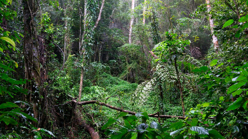 Divulgação/Costa Cruzeiros