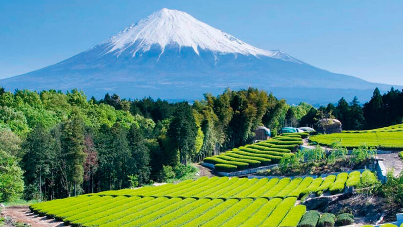 Divulgação/Costa Cruzeiros
