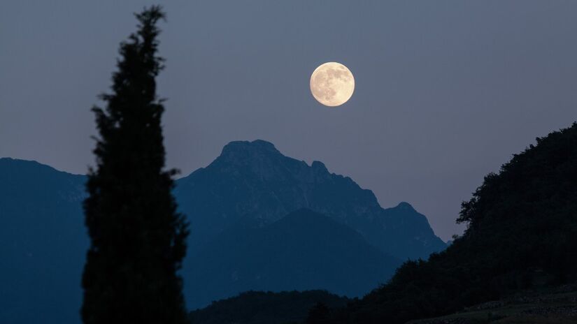 A Lua influencia não só as marés, mas também o comportamento de diversas espécies animais / Pixabay