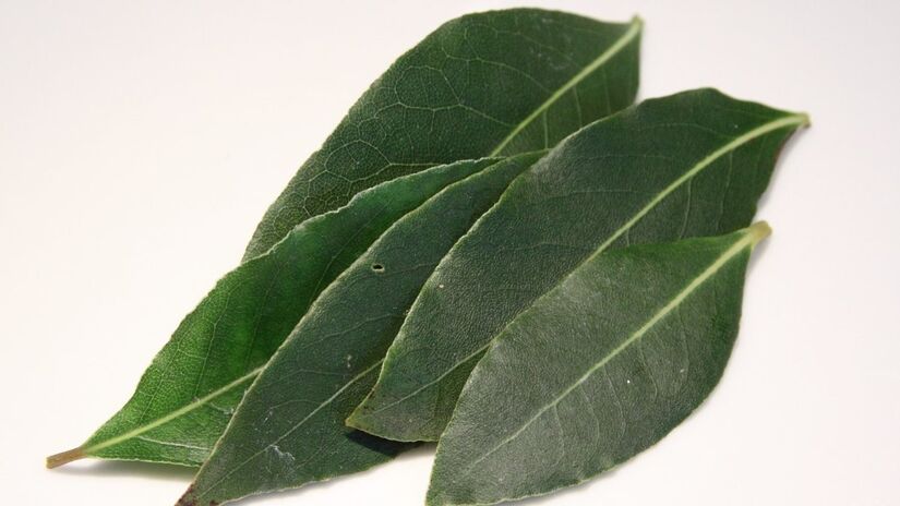 As folhas de louro são usadas na limpeza por seu aroma suave e propriedades purificadoras / Pixabay