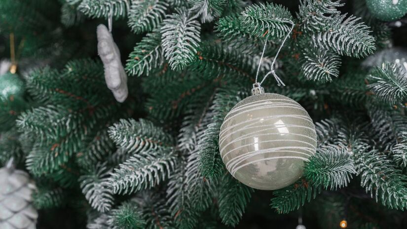 Na Europa, cresce o movimento de 'descentralização' das árvores de Natal / Foto: Freepik