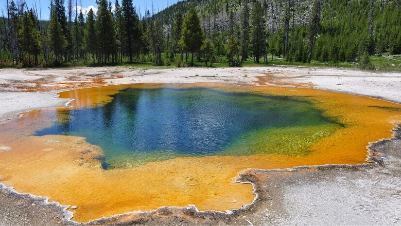O Parque de Yellowstone impressiona com gêiseres que jorram água fervente em meio à natureza selvagem / Pixabay