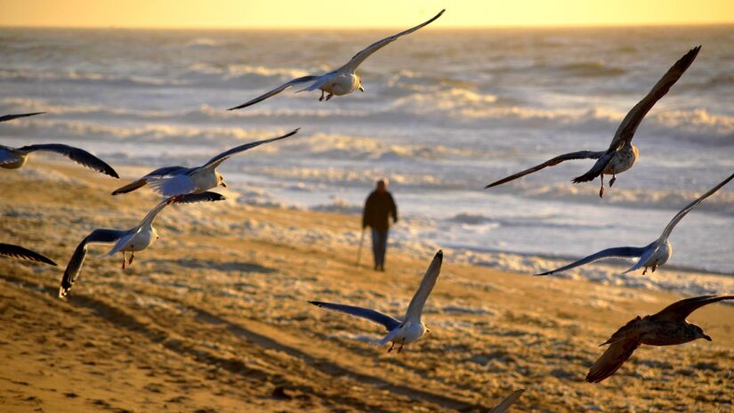 Passar tempo ao ar livre fortalece o sistema imunológico e contribui para uma vida mais saudável / Pixabay