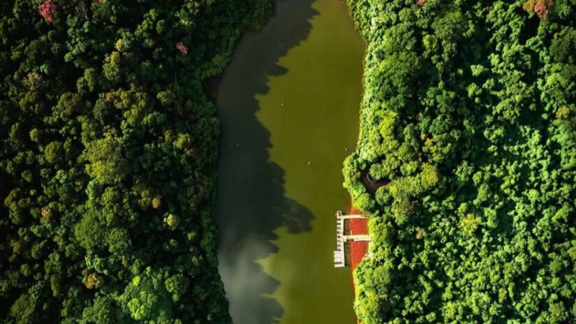 Divulgação/Thiago Louzada 