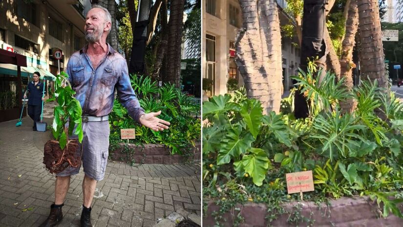 Os jardins de chuva chegaram a São Paulo em 2017 como uma solução baseada na natureza para aumentar a permeabilidade em áreas urbanas