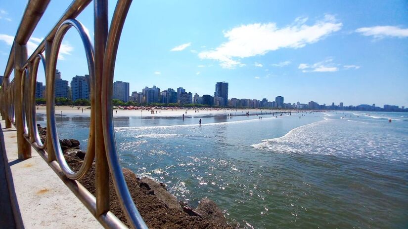 As condições geográficas e ecológicas da região favorecem o trânsito de diferentes espécies de tubarões / Nair Bueno/DL