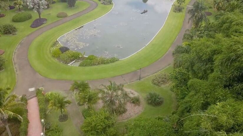 O Jardim Botânico Plantarum possui cerca de 4 mil espécies em uma área de 80 mil m²