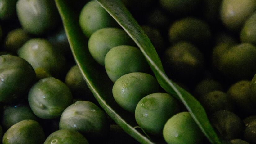 Saúde intestinal:
Suas fibras, principalmente as insolúveis, contribuem para a formação do bolo fecal e melhoram o trânsito intestinal, prevenindo constipação, hemorroidas e condições como síndrome do intestino irritável e câncer colorretal/Pexels
