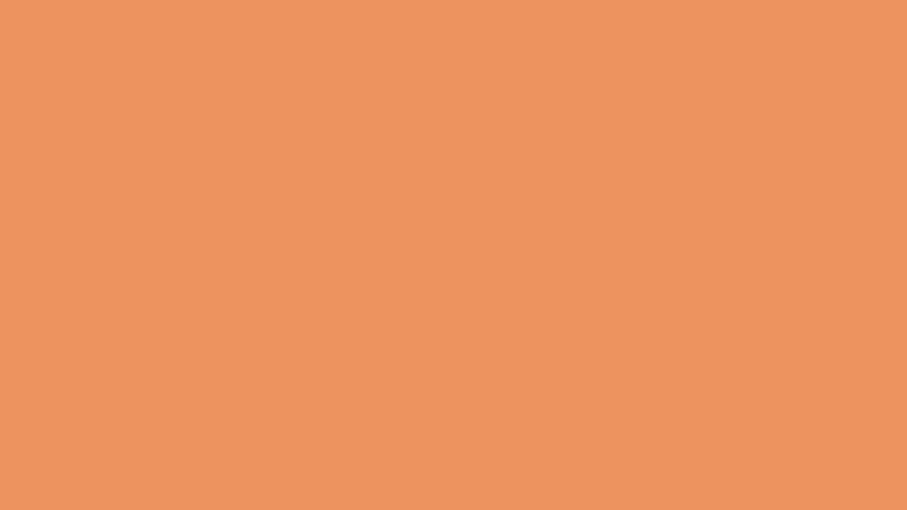MUSKMELON | 15-1242 /Pantone