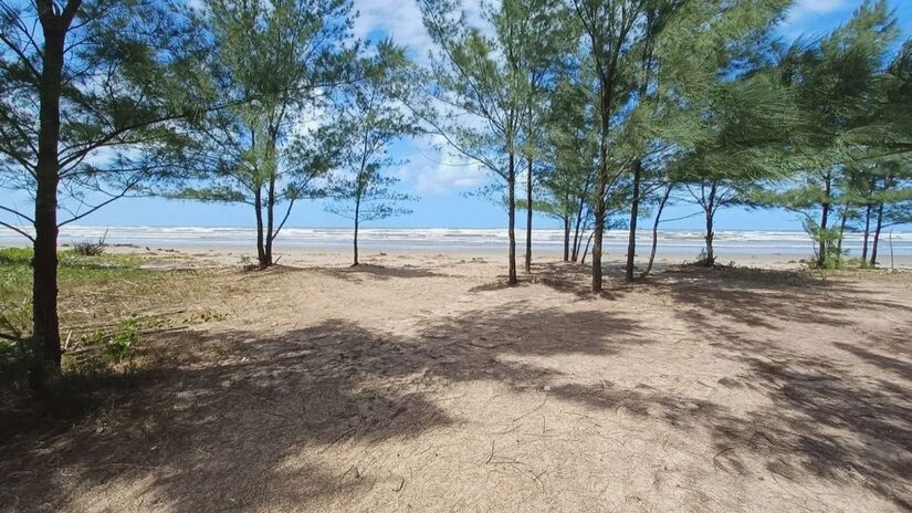Quando ir 

De uma maneira geral, o verão (entre dezembro e março) é a melhor época para curtir as praias/ Guia Turístico 