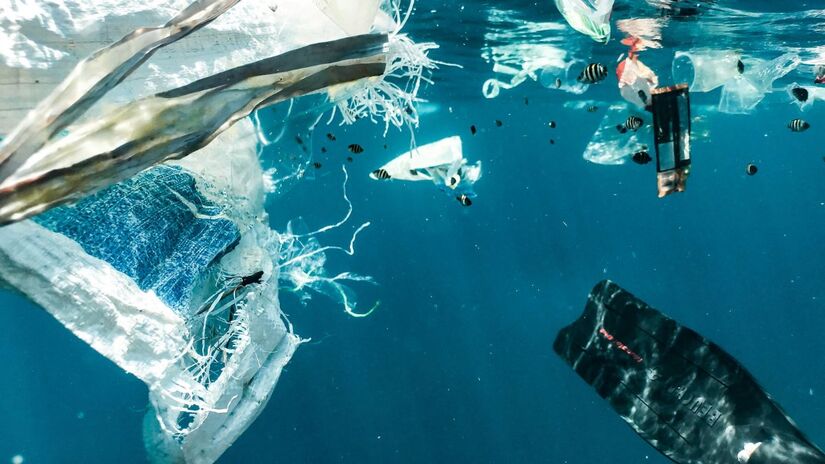 Bivalves como mexilhões e ostras estão entre os mais contaminados por partículas plásticas /Unsplash