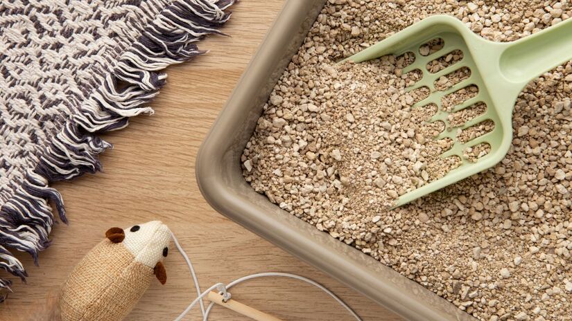 A higienização regular e a escolha da areia certa mantêm o ambiente livre de cheiros e mais agradável para o pet/ Freepik