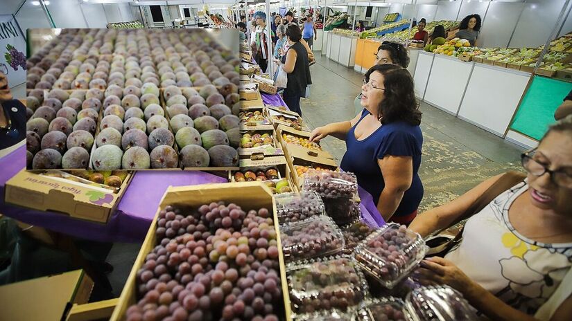 Região turística que reúne Valinhos e outros municípios do interior paulista, onde o visitante pode vivenciar o agroturismo, degustar frutas frescas e conhecer tradições rurais/ Agriculturasp/Wikimedia Commons