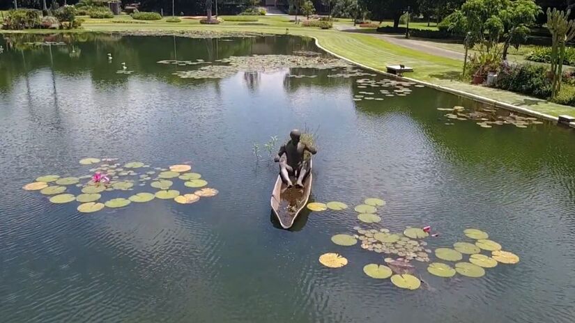 Nova Odessa, a pouco mais de 100 km de São Paulo, abriga o maior acervo de plantas da América Latina / Reprodução Youtube/Jardim Botânico Plantarum