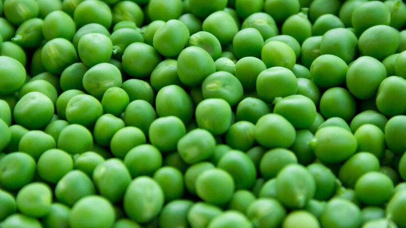 Controle glicêmico:
As fibras e proteínas da ervilha retardam a absorção de carboidratos, promovem saciedade e ajudam a regular os níveis de açúcar no sangue. Seu baixo índice glicêmico a torna adequada para diabéticos e pré-diabéticos/Pexels
